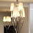 Ipe cavalli Brunilde Chandelier фото 3